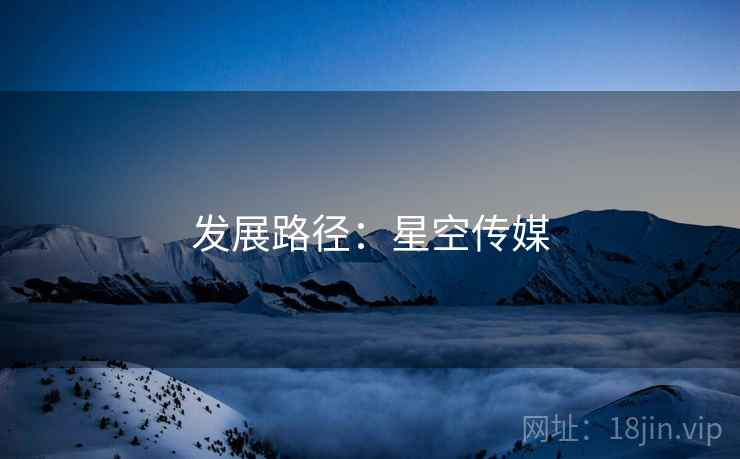 发展路径：星空传媒