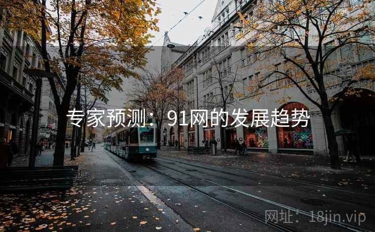 专家预测：91网的发展趋势