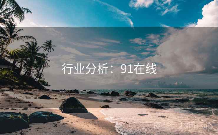 行业分析：91在线