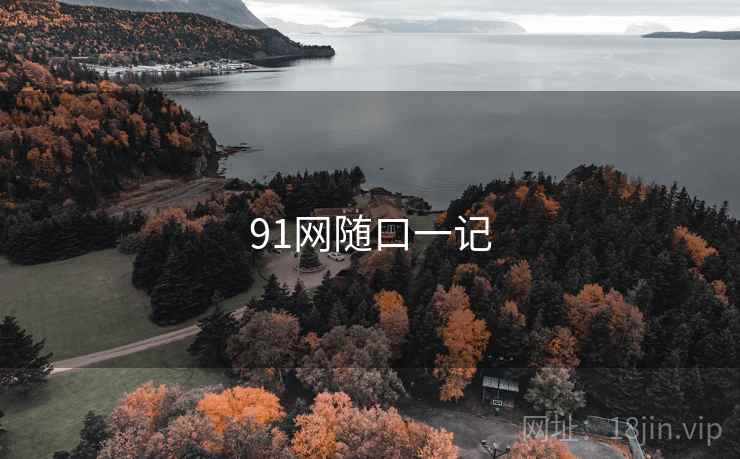 91网随口一记
