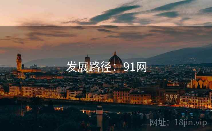发展路径：91网