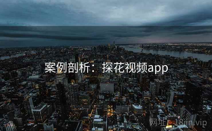 案例剖析：探花视频app